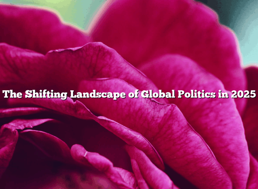 The Shifting Landscape of Global Politics in 2025