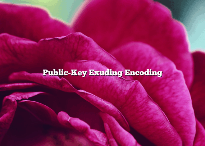 Public-Key Exuding Encoding