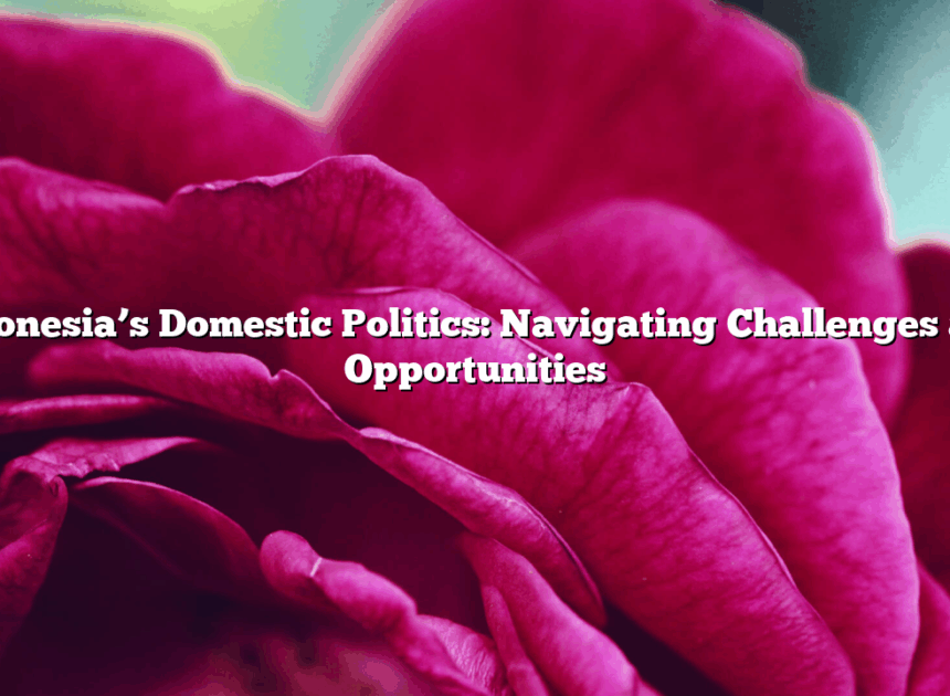 Indonesia’s Domestic Politics: Navigating Challenges and Opportunities