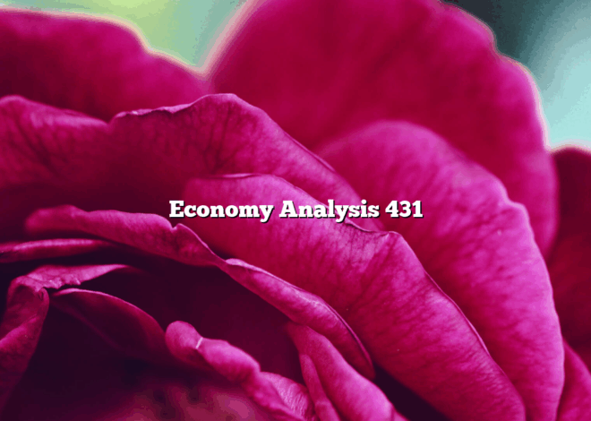 Economy Analysis 431