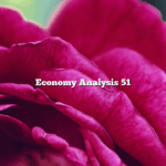 Economy Analysis 51