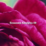 Economy Analysis 59