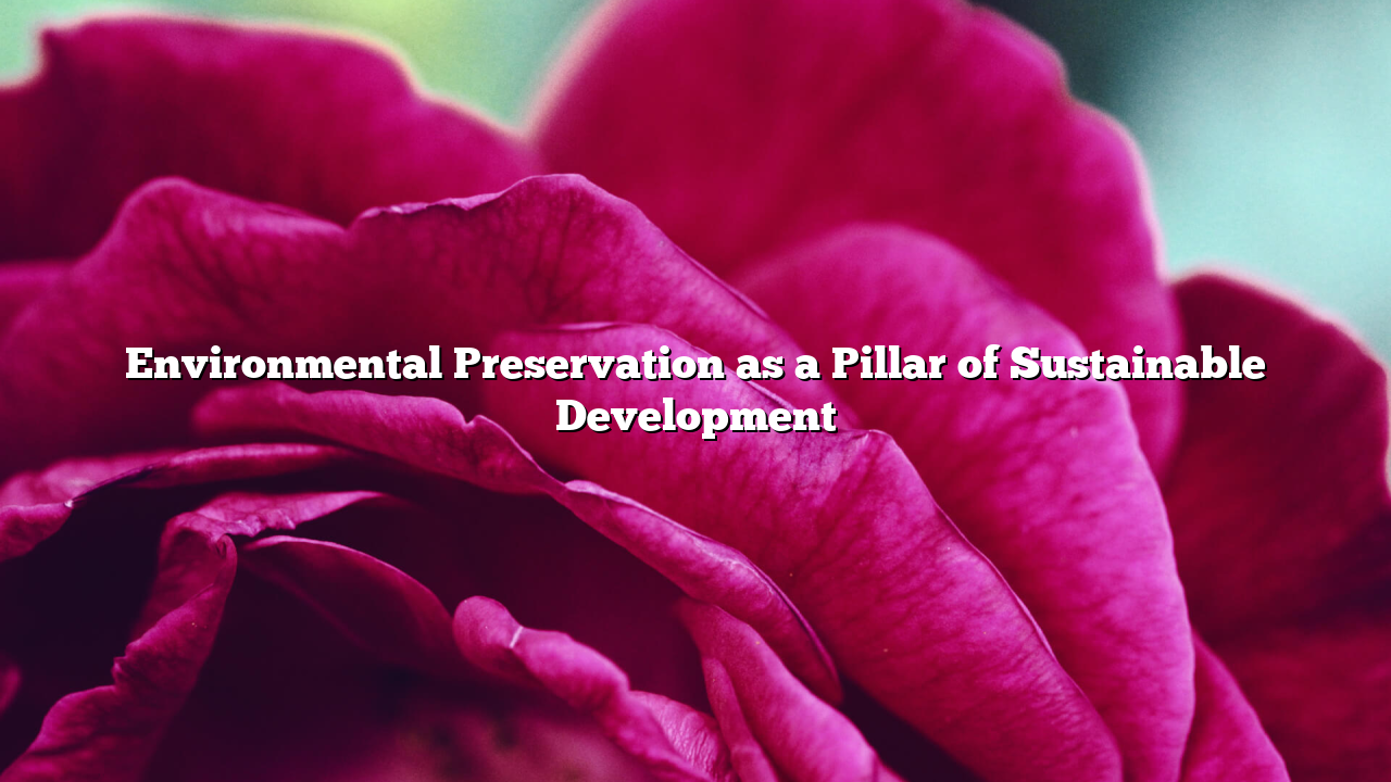 Environmental Preservation as a Pillar of Sustainable Development