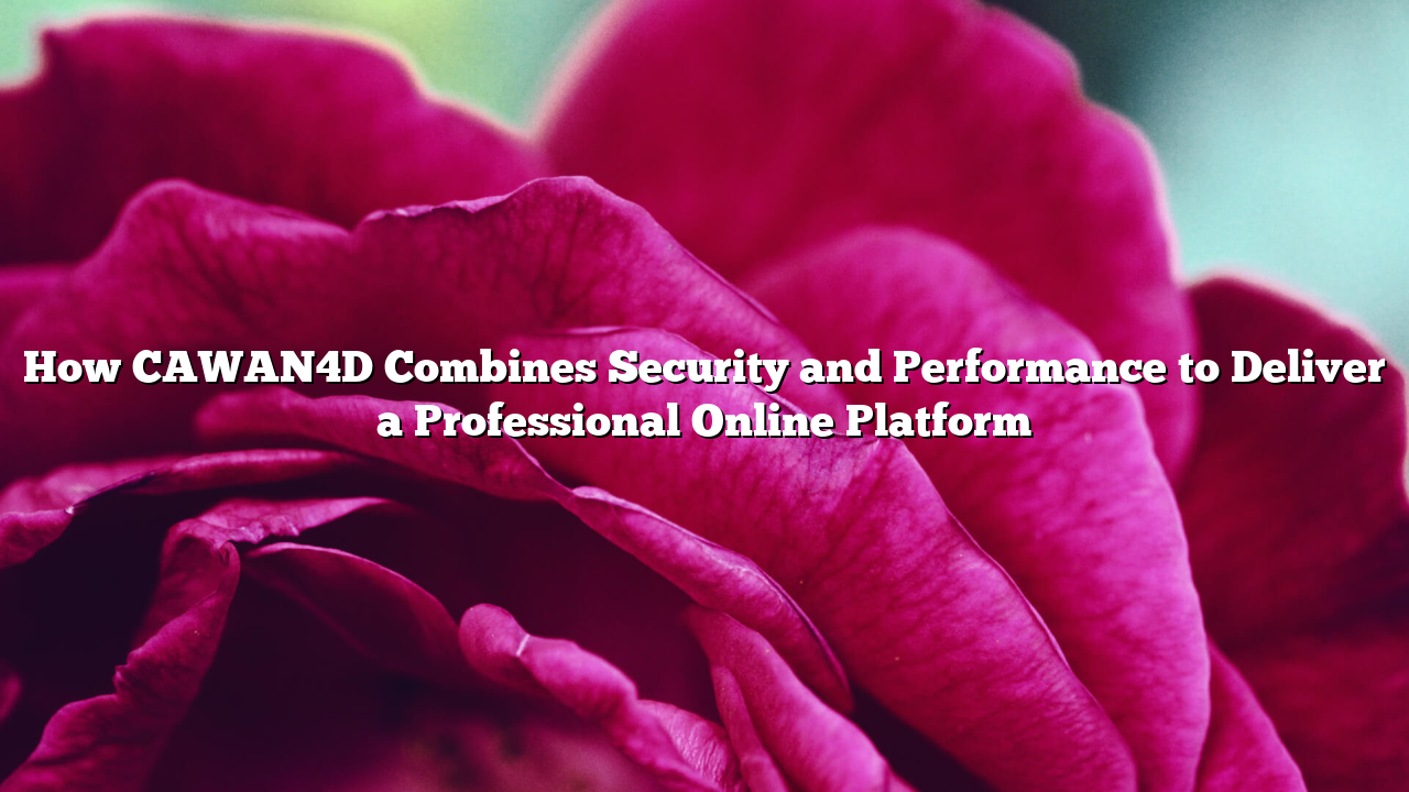How CAWAN4D Combines Security and Performance to Deliver a Professional Online Platform