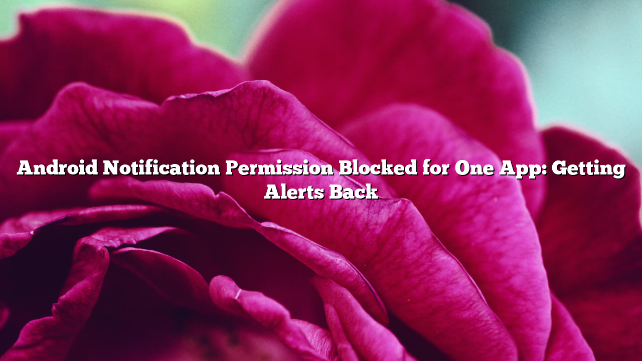 Android Notification Permission Blocked for One App: Getting Alerts Back